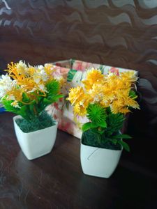 Mini Decorative Flower Pot