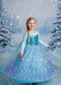 Elsa 'Frozen' Inspired Dress for winter