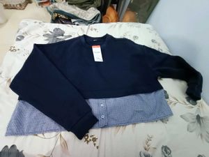 Zudio Cropped Sweatshirt
