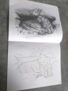 pencil shading/cushions