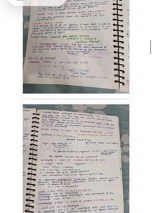 constitution law notes