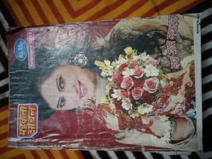 mahakata aanchal noval