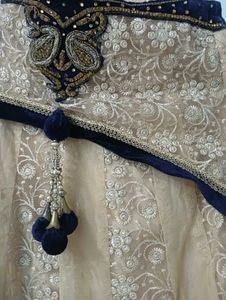 Elegant Embroidered Lehenga Skirt