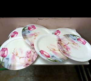 MILTON Melamine 11" Dinner Plates