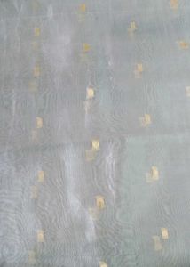 Elegant Grey &amp; Gold Sari