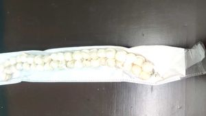 Jasmine Flower Hair Gajra 🌸🌸