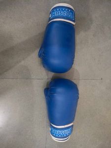 Blue Boxing Gloves