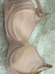 Women's Lace Trimmed Padded Bra