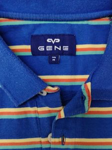 Blue Striped Polo T-Shirt