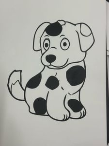 New born Flash cards