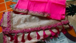 Elegant Embroidered Soft Organza Saree