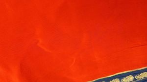 Vintage rust orange Saree with Ornate Border
