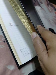 Leonardo Planner 2018