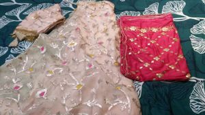 Designer Lehenga Choli Set