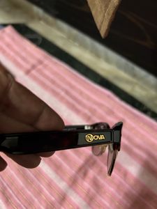Brown Sunglasses