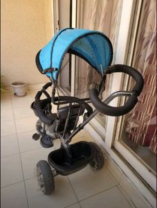 Baby Tricycle with Canopy