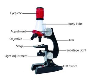 Microscope Learning for Kids