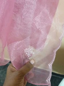 pink organza duppata