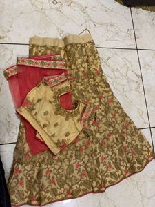 Beautiful Lehenga Choli