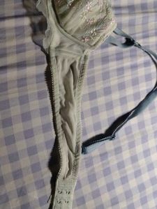 Sea Green Embroidered Bra