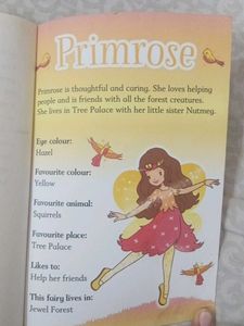 Fashion Fairy Princess Primrose Book