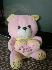 Plush Teddy Bear