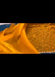 Elegant Mustard saree