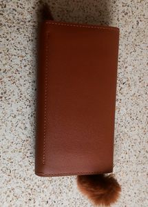 Tredy Clutch For Young Look