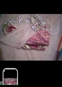 nude Gorgeous Lehenga Choli saree