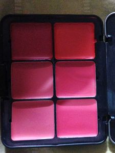 Carla Secret Concealer &amp; Blush Palette