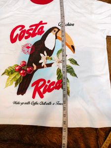 BONKERS Costa Rica Toucan Graphic T-Shirt