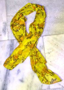 Combo Of 4 Scarves/Stoles