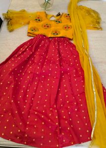 Embroidered Ethnic Lehenga... Excellent!!!