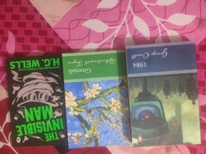 Classic Novels Bundle: The Invisible Man, Gitanjal