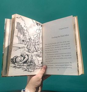 The Wizard of Oz - Illustrated Classics