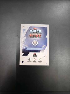 Erling Haaland Limited Edition Card