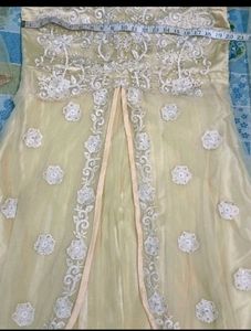 Elegant Anarkali set