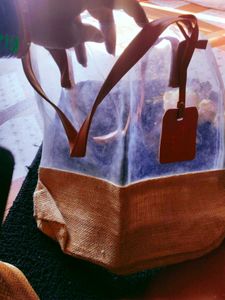 Stylish Transparent Tote Bag
