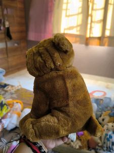 Cute Brown Plush Dog Toy