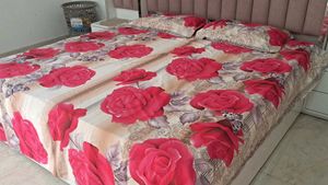 Digital Print New Bedsheet King Size With Pillo