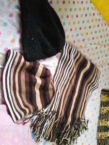 Winter Caps And Muffler
