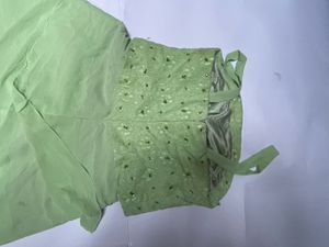 Light Green Embellished Gown