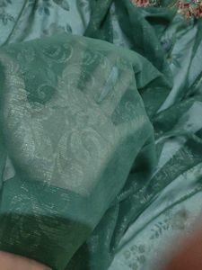 Embroidered Green Saree with Sequins