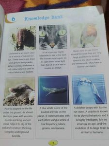 Roots and Fruits of Knowledge - Class 7