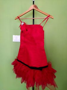 Bodycon Party Dress/New With Tag
