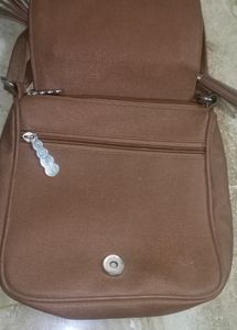Leather Sling Bag / 350 Coins