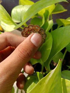 Elegant Golden Ring 💍👑