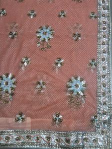 Embellished Net saree