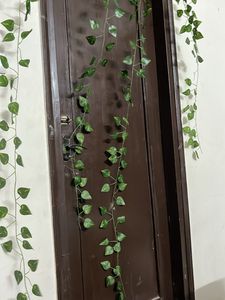 Decor Money Plan Leaves Shurb (2 Ladi )