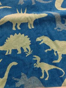 Dinosaur Print Beach Towel